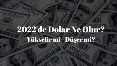 dolar ne olur, 2022 dolar analizleri